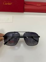 Cartier Purple  Unisex Pure Titanium Eyeglasses 